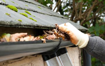 gutter cleaning Leinthall Earls, Herefordshire
